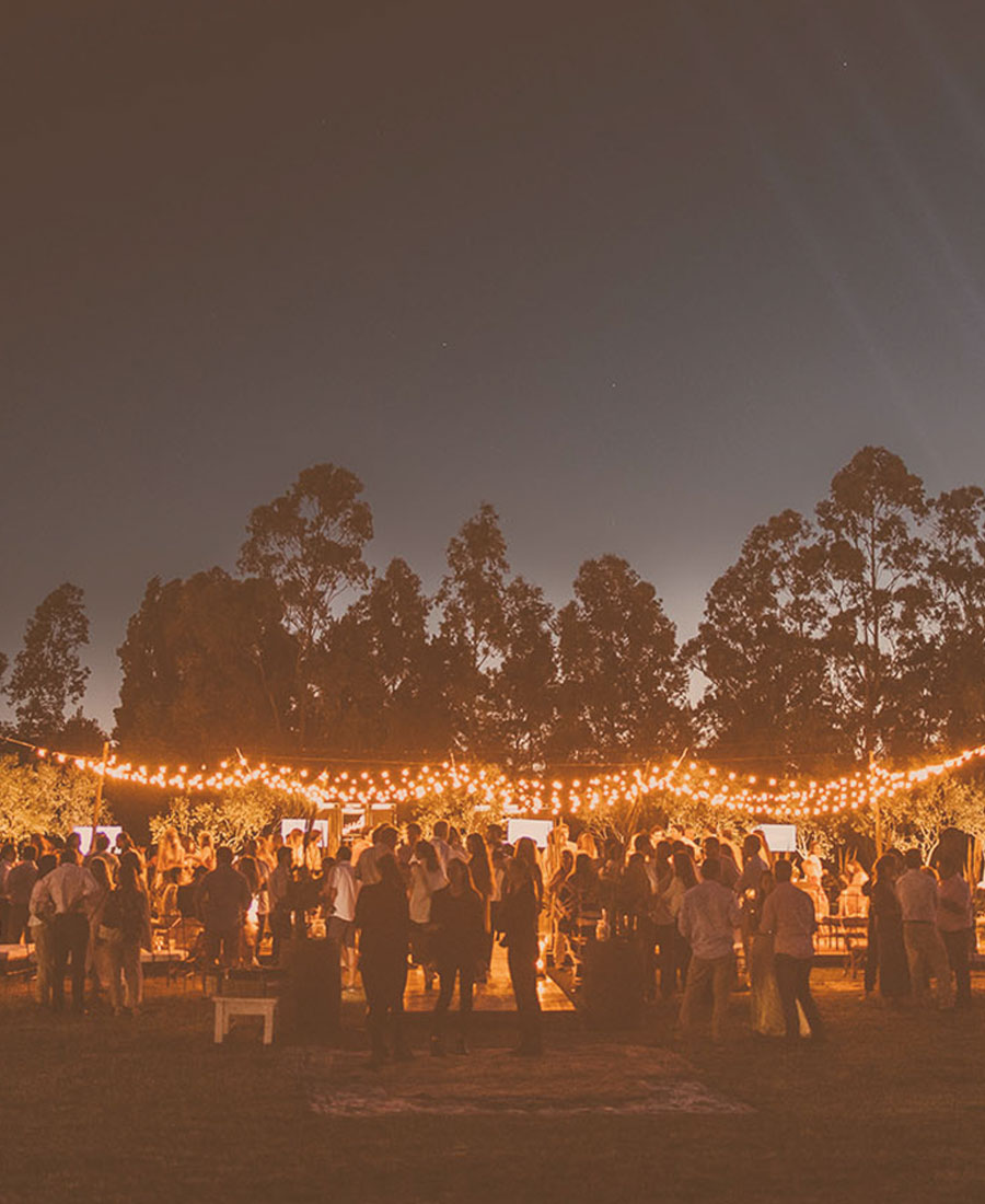 Lanzamiento Los Olivos de los Horneros